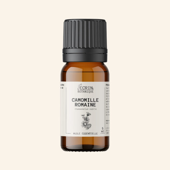 Huile essentielle de Camomille romaine