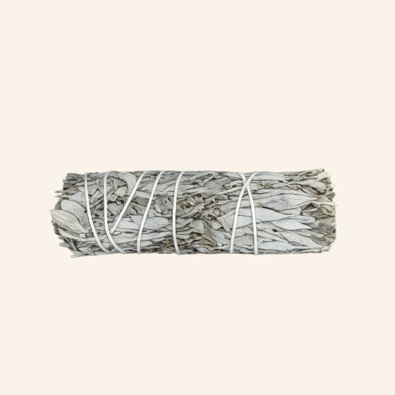 Bâton de sauge blanche